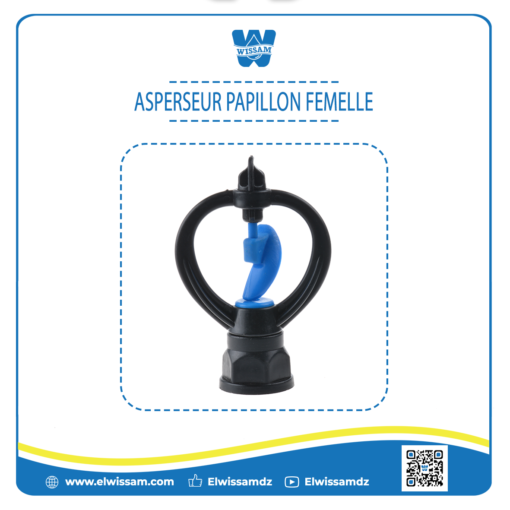 ASPERSEUR PAPILLON FEMELLE